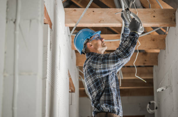 Best Electric Panel Repair  in Roseville, OH